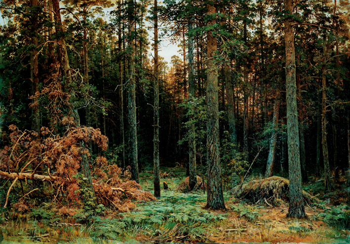  伊凡·伊凡诺维奇·希施金 Ivan I. Shishkin —— Ivan Shishkin-027